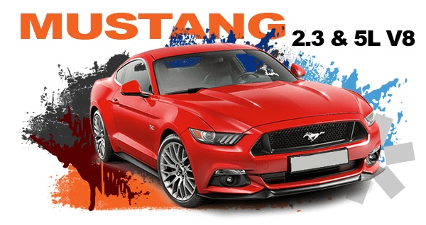 MUSTANG